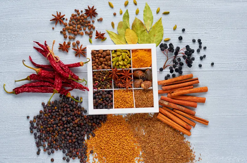 INDIAN SPICES 